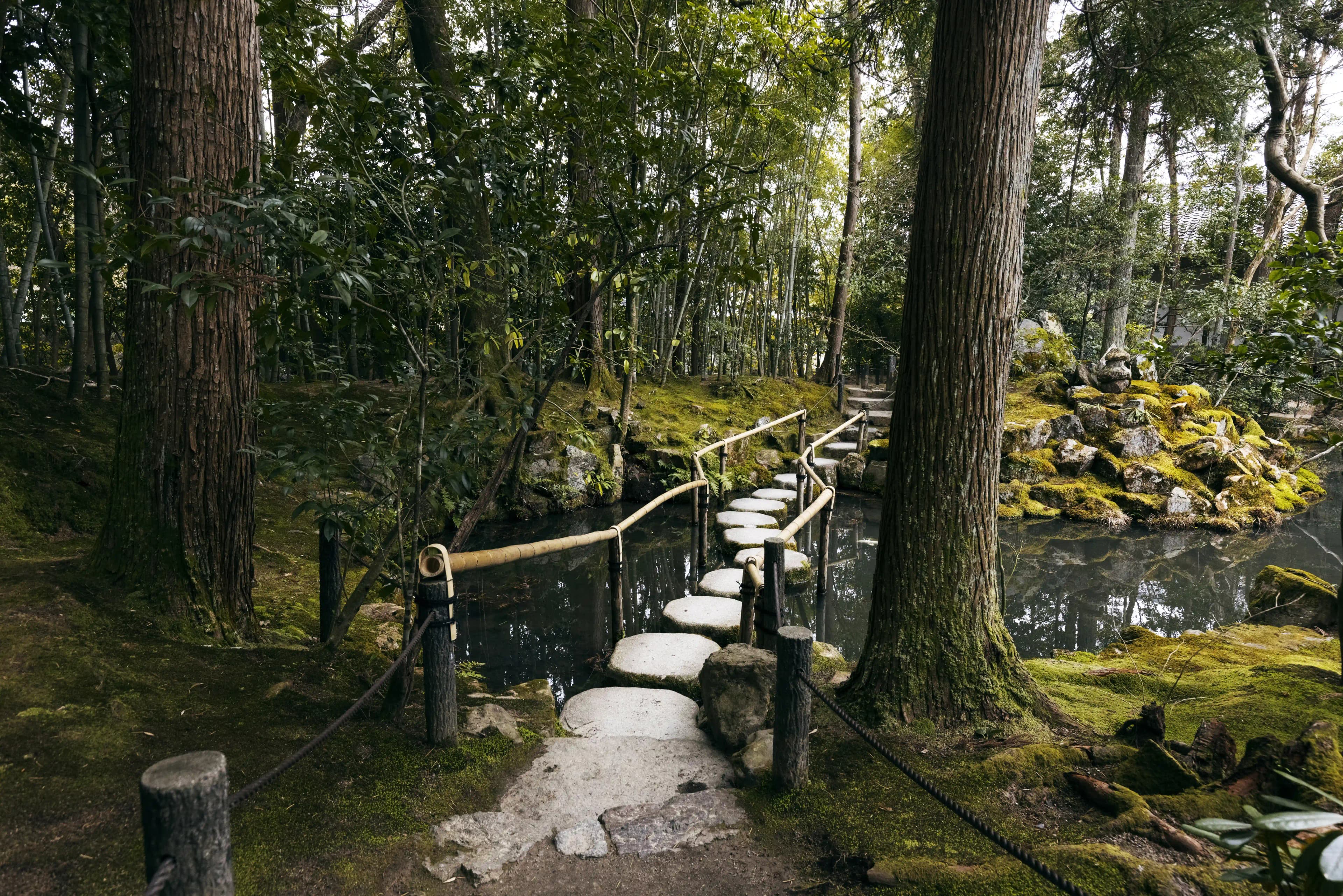 Misty Glens & Golden Forests